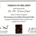 Resmi büyüt: certificate 24