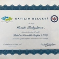 Resmi büyüt: certificate 19