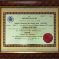 Resmi büyüt: certificate 1