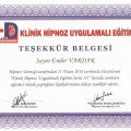 Resmi büyüt: certificate 4