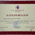 Resmi büyüt: certificate 8