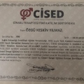 Resmi büyüt: certificate 10