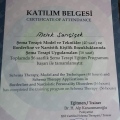 Resmi büyüt: certificate 9
