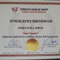 Resmi büyüt: certificate 3