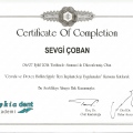 Resmi büyüt: certificate 11