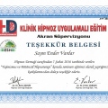 Resmi büyüt: certificate 14