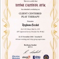 Resmi büyüt: certificate 5