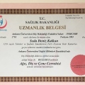 Resmi büyüt: certificate 5