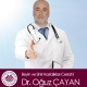Oğuz Çayan
