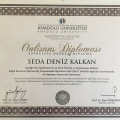 Resmi büyüt: certificate 6