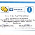 Resmi büyüt: certificate 31