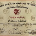 Resmi büyüt: certificate 2