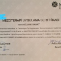 Resmi büyüt: certificate 3