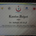 Resmi büyüt: certificate 37