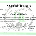 Resmi büyüt: certificate 3