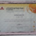 Resmi büyüt: certificate 1