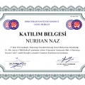 Resmi büyüt: certificate 6