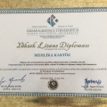 Resmi büyüt: certificate 2