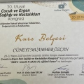 Resmi büyüt: certificate 5