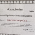 Resmi büyüt: certificate 3