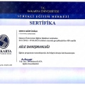 Resmi büyüt: certificate 25