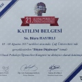 Resmi büyüt: certificate 13