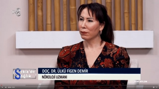 Ülkü Figen Demir-2