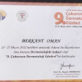 Resmi büyüt: certificate 5