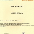 Resmi büyüt: certificate 4
