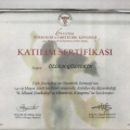 Resmi büyüt: certificate 24