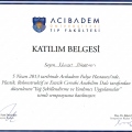 Resmi büyüt: certificate 19