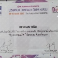 Resmi büyüt: certificate 13