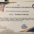 Resmi büyüt: certificate 8