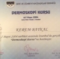Resmi büyüt: certificate 3
