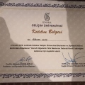 Resmi büyüt: certificate 28
