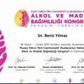 Resmi büyüt: certificate 1