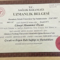 Resmi büyüt: certificate 1