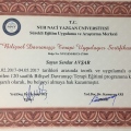 Resmi büyüt: certificate 1