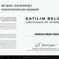 Resmi büyüt: certificate 3