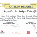 Resmi büyüt: certificate 45