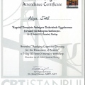 Resmi büyüt: certificate 1