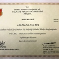 Resmi büyüt: certificate 15