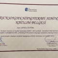 Resmi büyüt: certificate 1