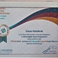 Resmi büyüt: certificate 6