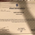 Resmi büyüt: certificate 5