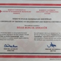 Resmi büyüt: certificate 1