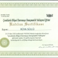 Resmi büyüt: certificate 9