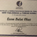 Resmi büyüt: certificate 3