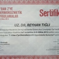 Resmi büyüt: certificate 9