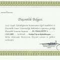 Resmi büyüt: certificate 6